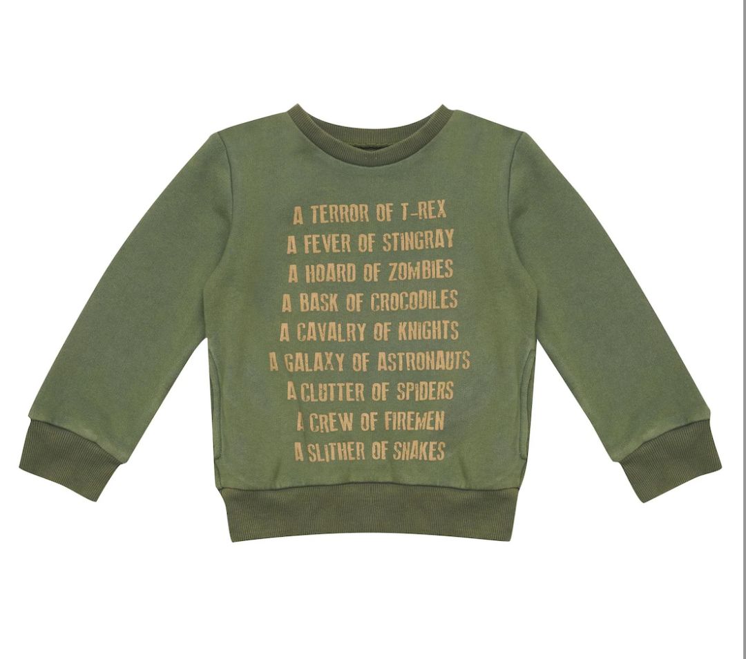 Green bella + lace Sweater, 2Y