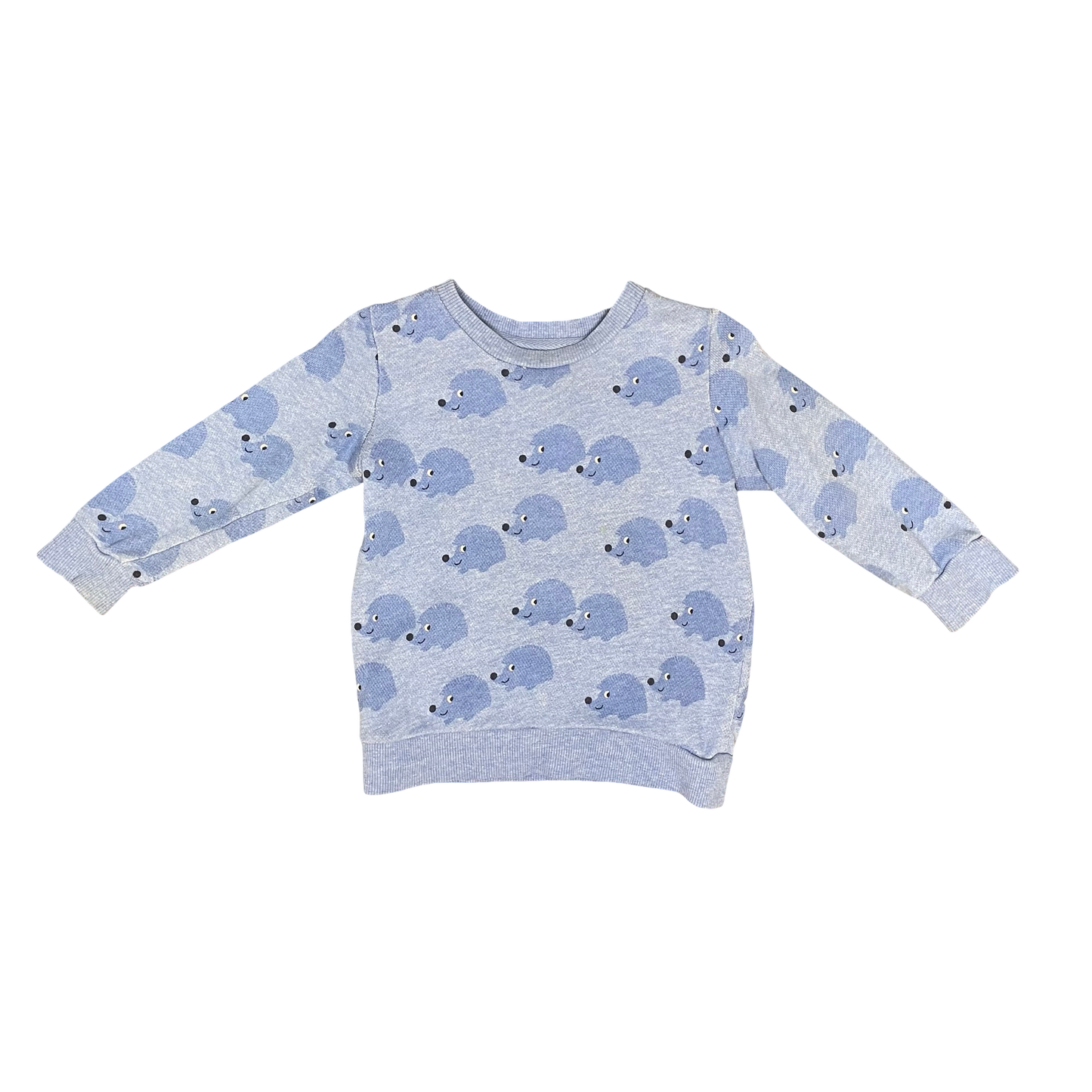 Blue Seed Jumper, 12-18M