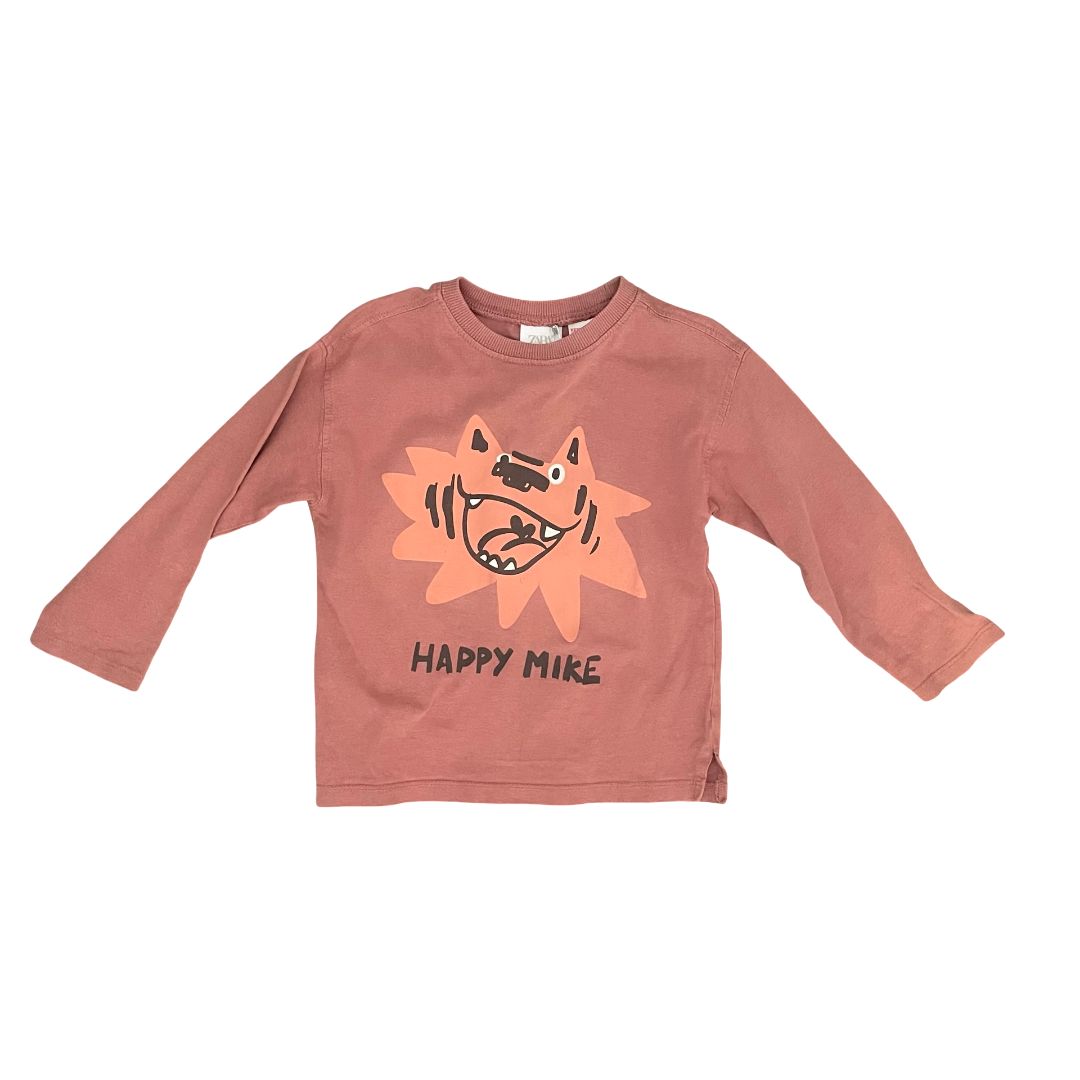 Burnt Orange Zara Long Sleeve Top, 2-3Y