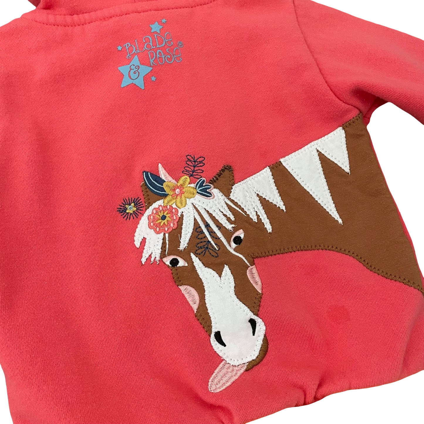 Peach Blade & Rose Hoodie, 2-3Y