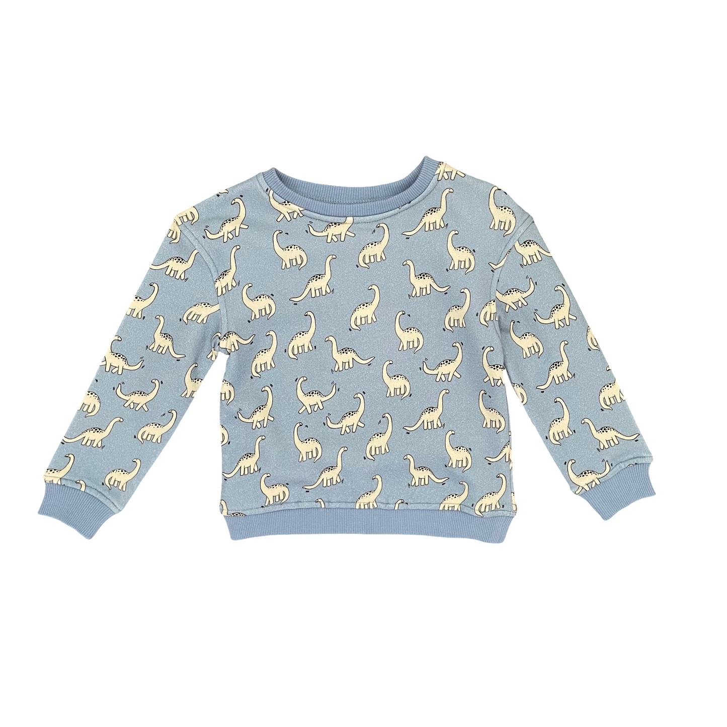 Blue dinos Walnut Jumper, 2Y