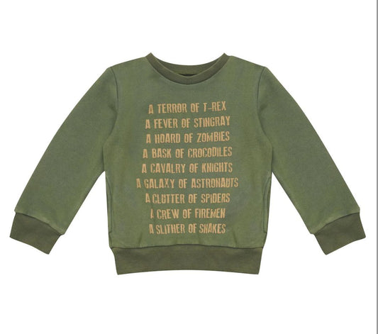 Green bella + lace Sweater, 2Y