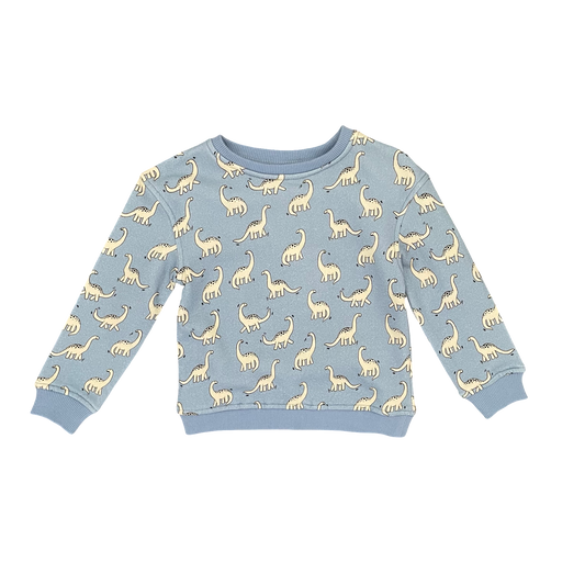 Blue dinos Walnut Jumper, 2Y