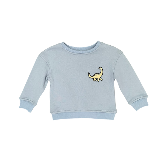 Blue dino Walnut Jumper, 1Y