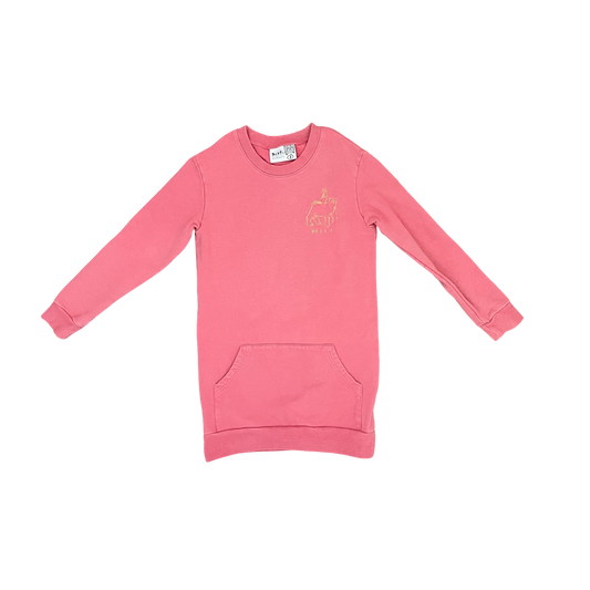 Pink Minti Long Sleeve Dress, 8Y