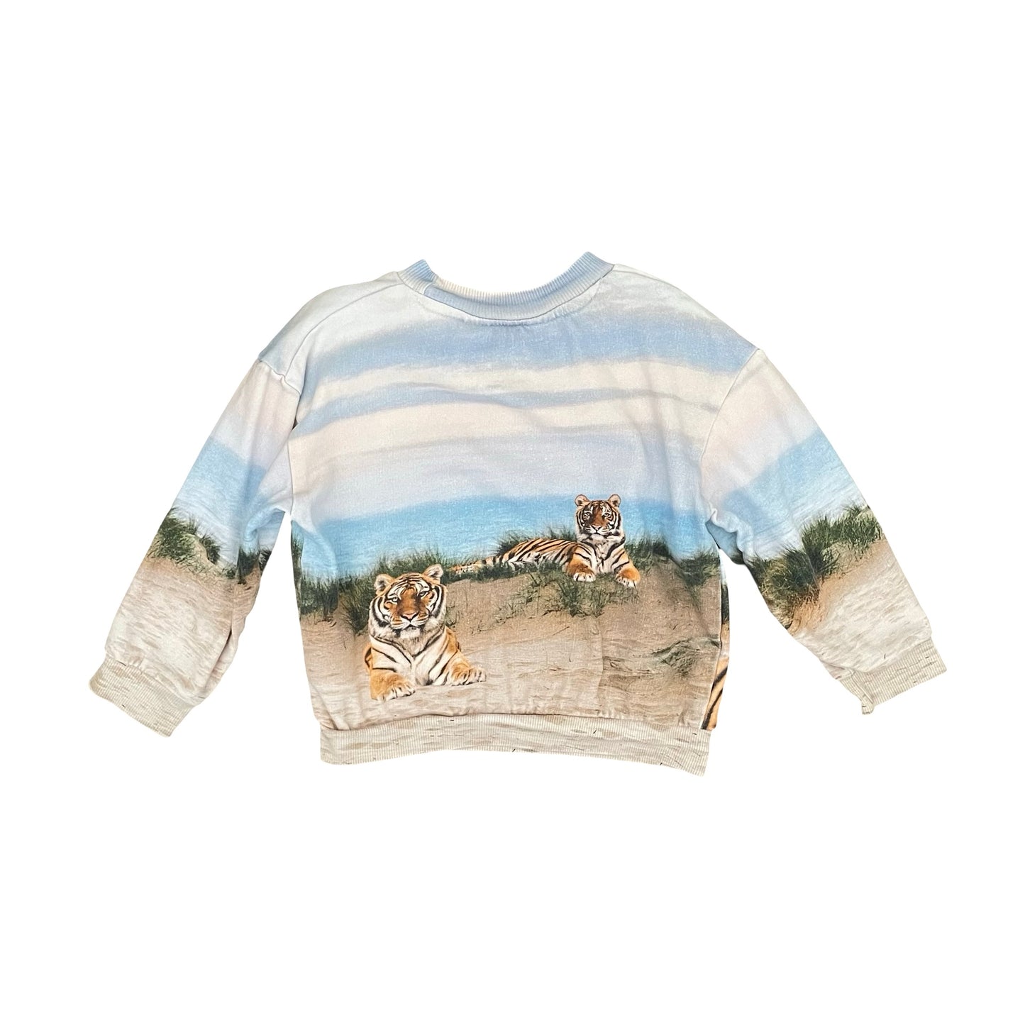 Multi H&M Tiger Sweater, 3-4Y