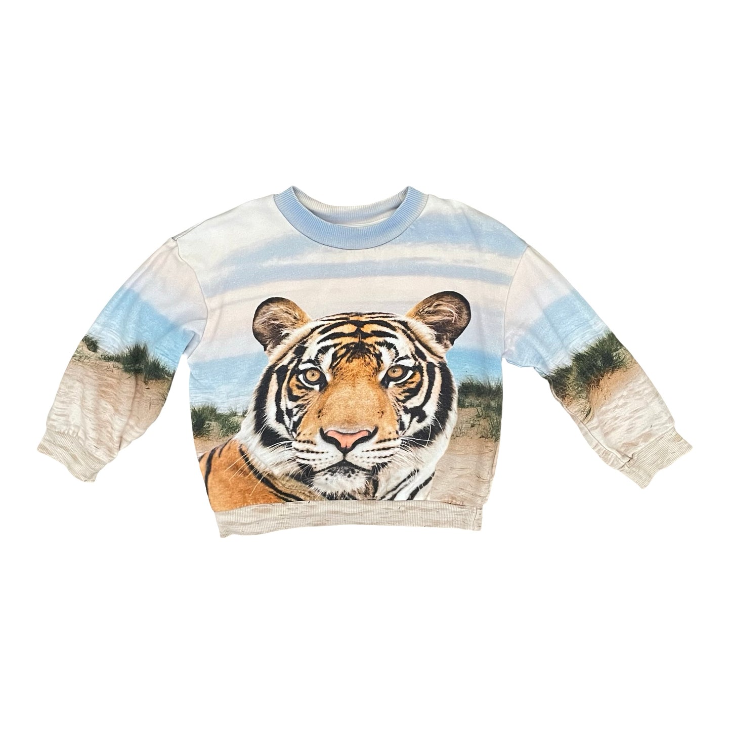 Multi H&M Tiger Sweater, 3-4Y