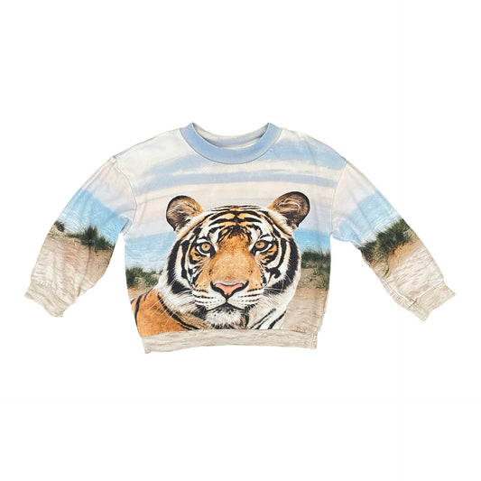Multi H&M Tiger Sweater, 3-4Y